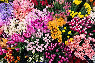 火焰大师！《地下城与勇士：决斗》“女忍者”实机预告