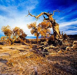 《寂静岭2》增强Mod：添加60帧和若干优化